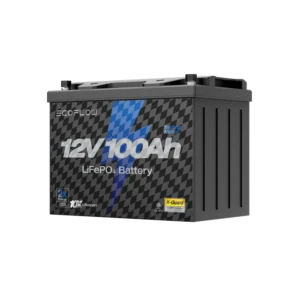 EcoFlow Lityum 12V 100Ah Deep Cycle Marin/Karavan Aküsü - Görsel 3